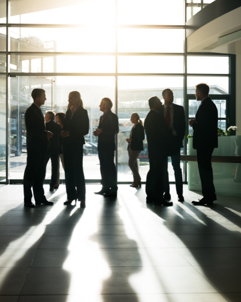 Sales Expert Consultancy offerings